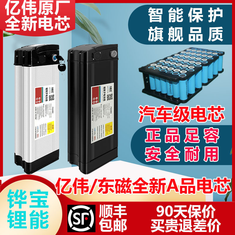 电动车锂电池48V36V海霸银鱼锂电池代驾折叠自行车通用助力车电瓶