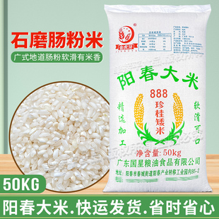 国星广东水石磨肠粉专用米50KG阳春大米888珍桂矮早稻陈老旧商用