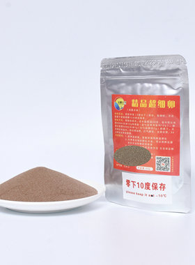 新货渤海湾盐田超细卵可孵化丰年虾卵卤虫卵虾苗燕鱼苗开口鱼饲料