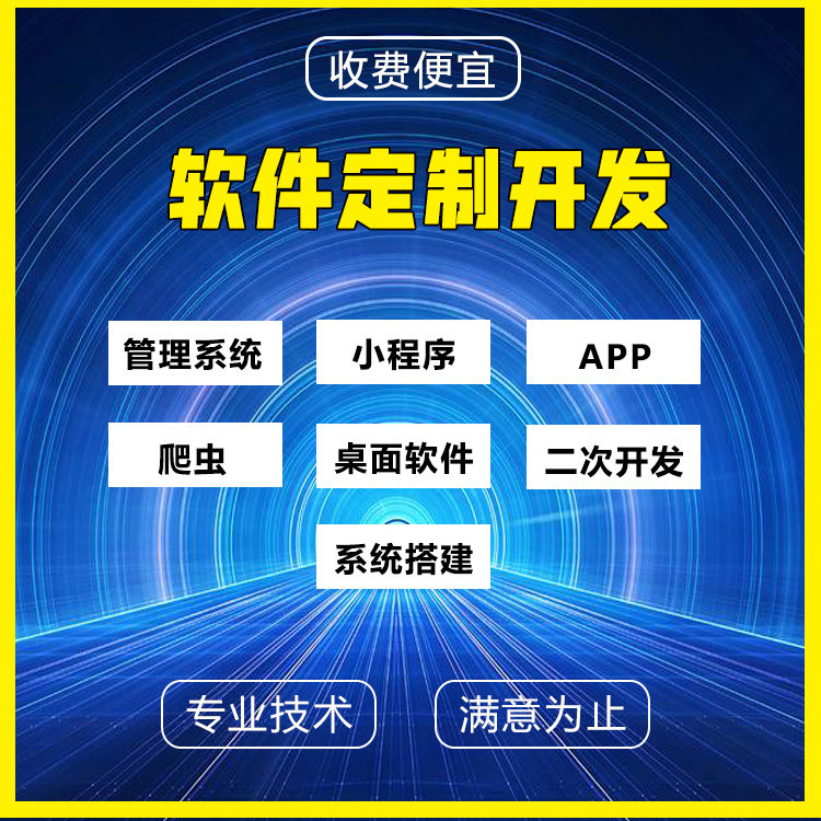软件开发定制桌面程序APPJa企业形象VI设计
