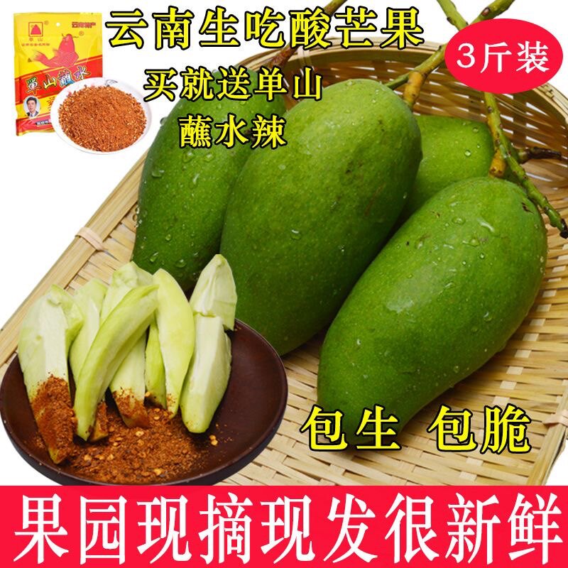 云南西双版纳现摘新鲜酸脆生吃芒果当季水果芒果芽三年芒顺丰包邮