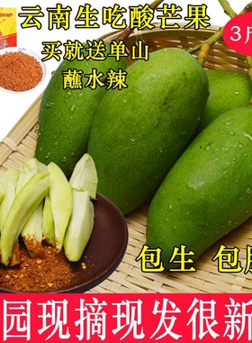 云南西双版纳现摘新鲜酸脆生吃芒果当季水果芒果芽三年芒顺丰包邮