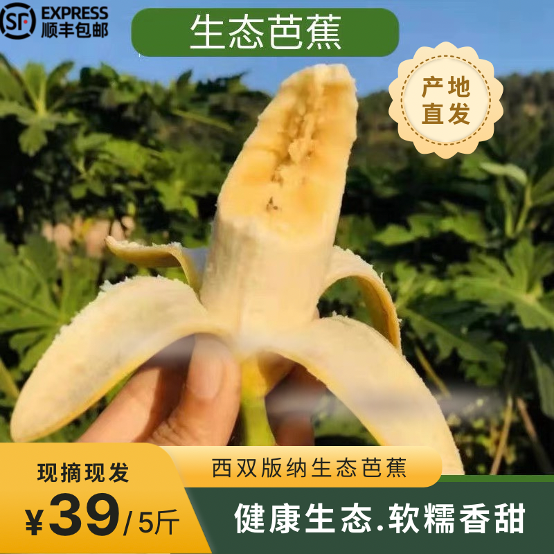 云南西双版纳新鲜野生芭蕉现摘现发热带水果自然熟正宗芭蕉包邮