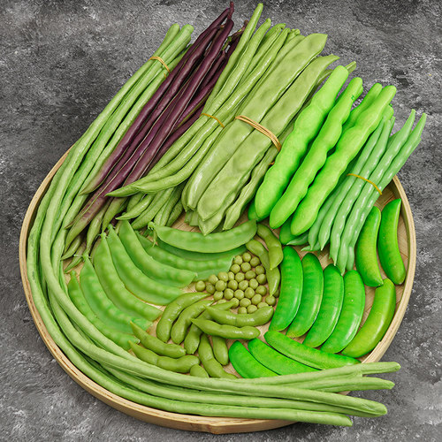 荷兰豆四季豆仿真蔬菜