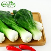 假青菜模型PU仿真蔬菜摄影早教道具 小油菜 仿真青菜 高仿上海青