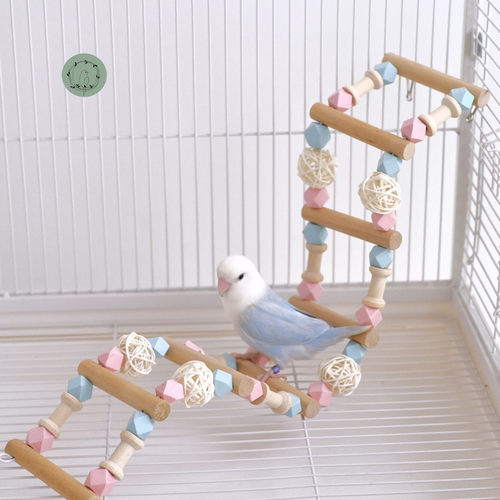 鹦鹉爬梯防滑马卡龙彩虹云梯玩具