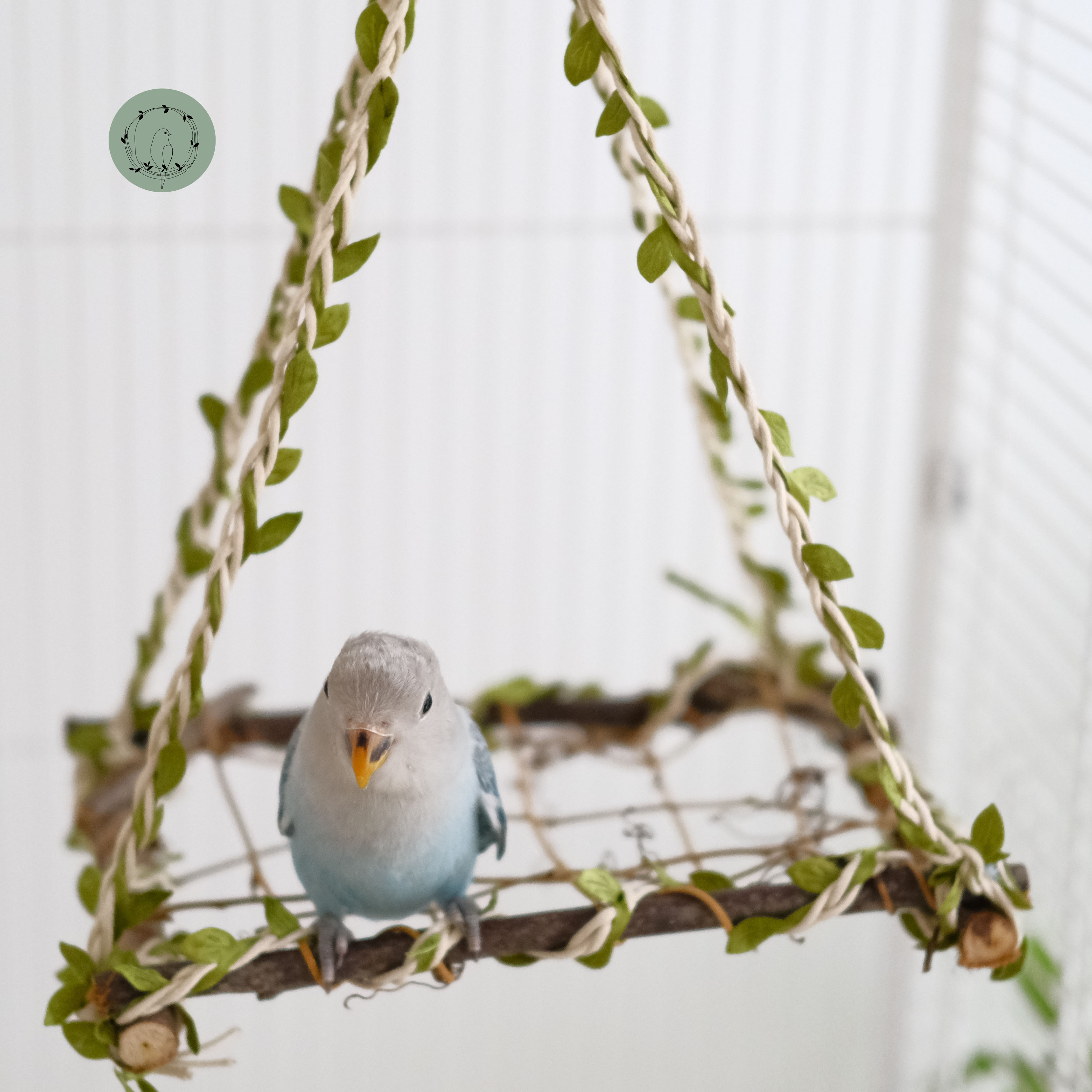 鹦鹉秋千鸟笼玩具珍珠文鸟麻雀攀爬互动梯子防咬磨爪实木啃咬吊环,宠物/宠物食品及用品,鸟玩具,淘宝优惠券,粉丝福利购,淘宝优惠卷