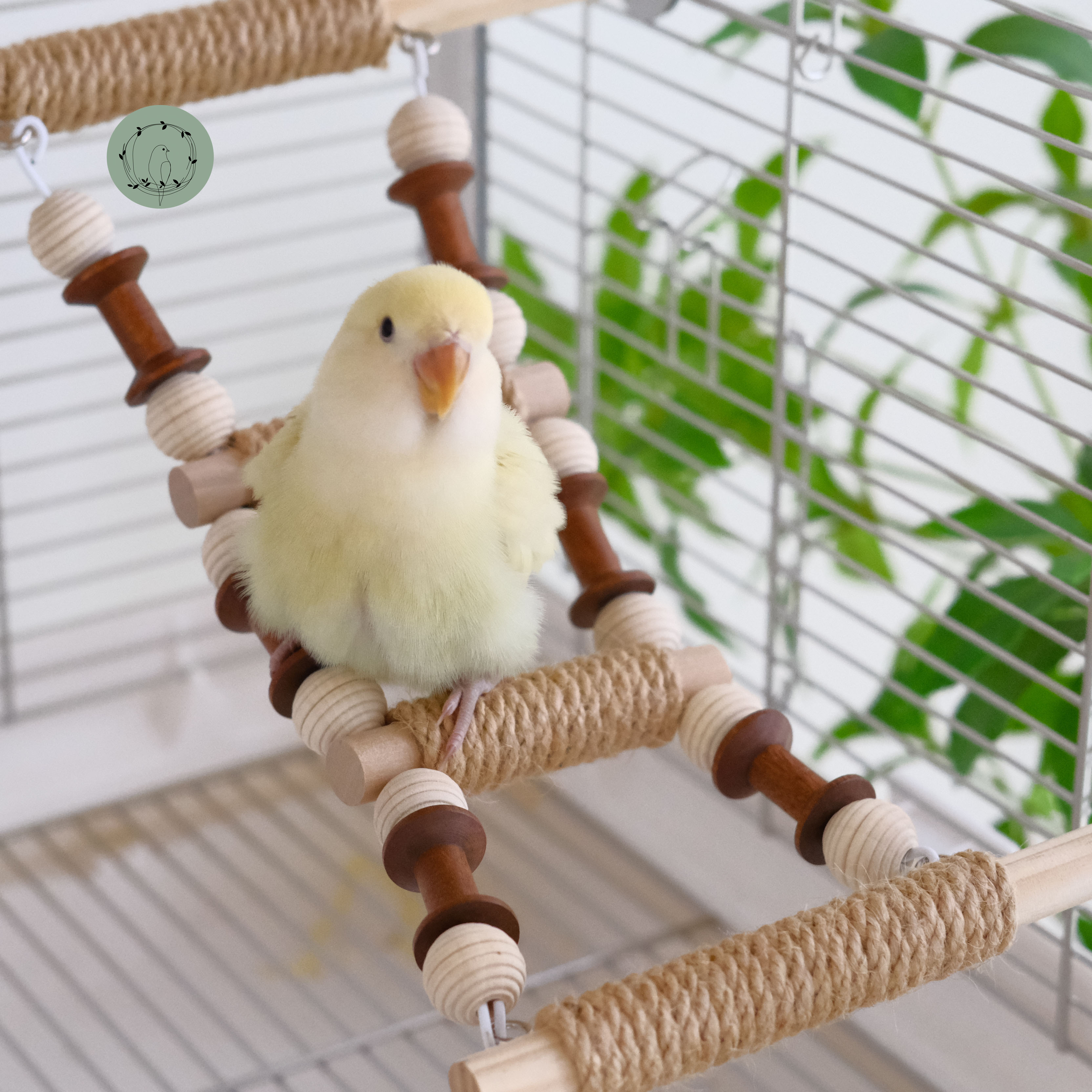 鹦鹉爬梯云梯防滑站杆牡丹鸟用品