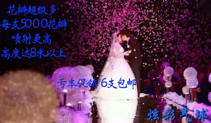 炫彩气球花瓣雨花瓣婚庆 婚礼礼炮手持礼花筒道具