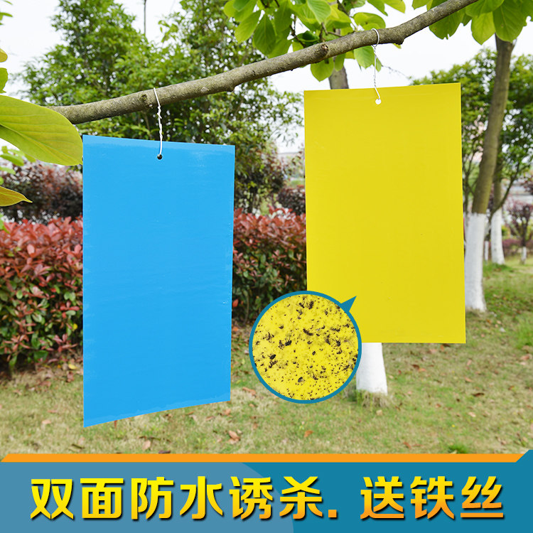 粘虫板黄板蓝板进口胶水双面诱杀无毒环保防水诱虫板黏虫板防虫板