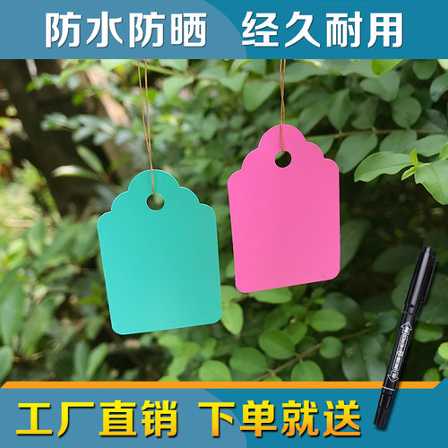 农业园艺花卉实验小挂牌植物防水悬挂标签月季防晒吊牌塑料吊签牌