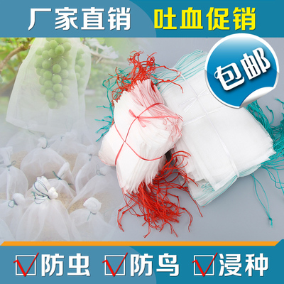 园艺种子袋 防虫网袋 尼龙网袋 火龙果葡萄果树水果套袋 浸种袋