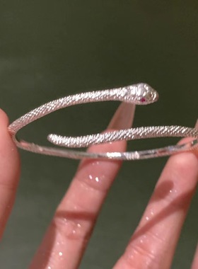 银蛇缠绕手镯轻奢小众设计感女精致冷淡风手链个性级感手环蛇形