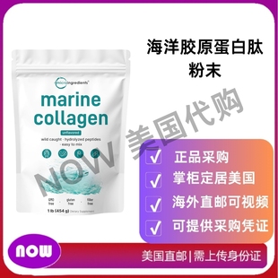 海洋胶原蛋白肽粉末 Ingredients 支持关节健康 Micro 美国直邮