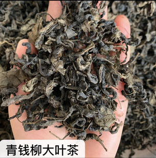 25年新茶上市 500g青钱柳大叶茶 湖南绥宁金钱柳 青钱柳茶叶