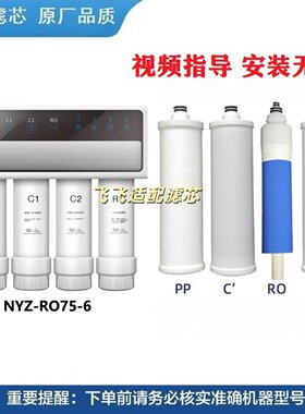 适用诺怡泽帅先反渗透净水器纯水机NYZ-RO75-6活性炭PPRO通用滤芯