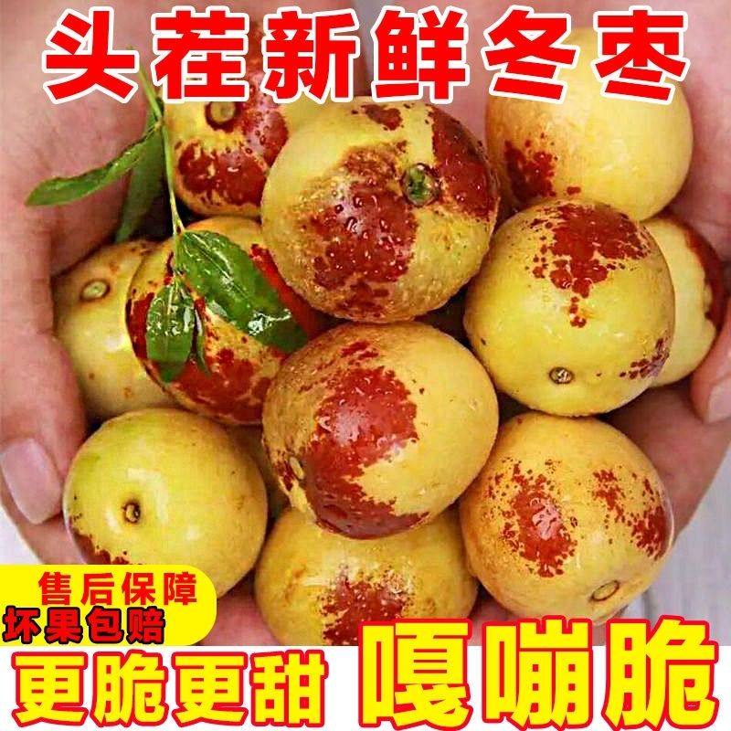 陕西冬枣正宗大荔新鲜水果5斤当季整箱包邮现摘大枣现发脆甜枣子3
