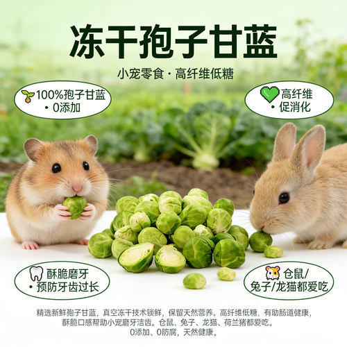 仓鼠冻干蔬菜磨牙营养零食大礼包