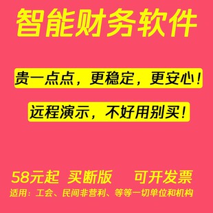 工会非营利小企业准则excel内账代账单机版做账会计记账财务软件