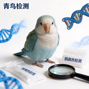 鹦鹉热检测宠物鸟QPCR检测鹦鹉衣原体羽毛样本精准结果含采样指导