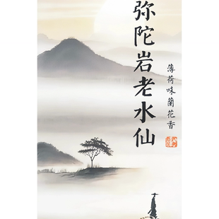 不是科技枞轻火弥陀岩武夷岩茶60年老枞水仙薄荷味冰凉回甘不还价