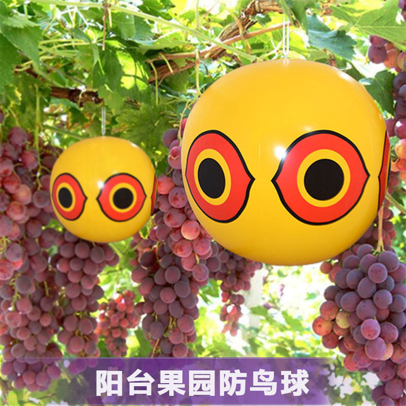 充气沙滩球草莓果园驱鸟气球恐怖眼睛球户外老鹰家用赶鸟防鸟神器