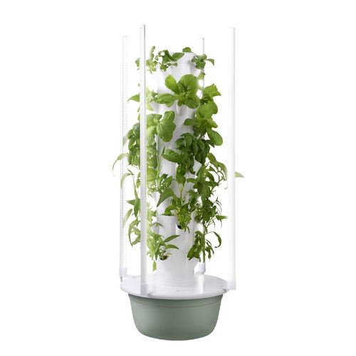 家庭阳台种菜无土栽培水培蔬菜设