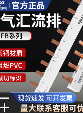 德力西空气开关紫铜排断路器1p 1p+n 2p空开接线排接线端子汇流