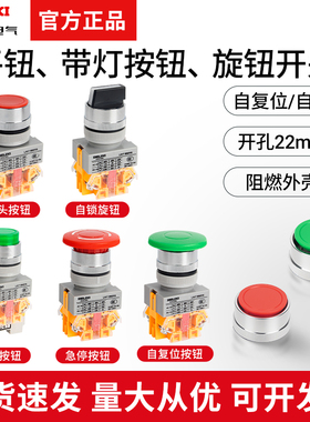 德力西按钮开关LAY7-11BN平头按钮电源自复位急停按压式旋钮带灯