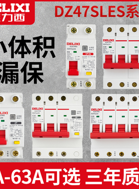 德力西漏电保护开关DZ47sLES小型2p漏保32a家用3p空气开关4p电闸