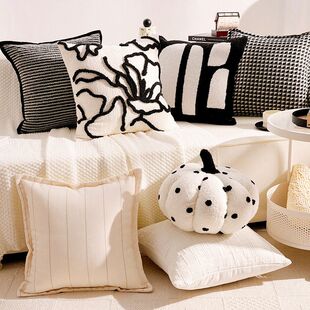 轻奢法式高级感黑白客厅沙发抱枕奶油风飘窗靠枕民宿床头靠垫抱枕