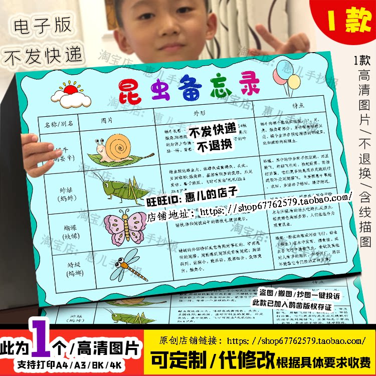 昆虫备忘录手抄报昆虫记自然笔记三年级下册语文电子版小报线稿