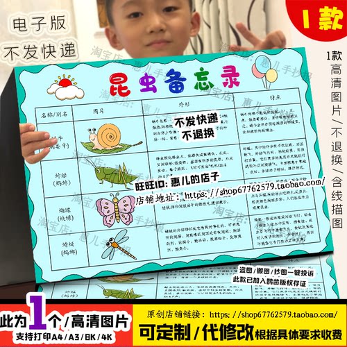 昆虫备忘录手抄报昆虫记自然笔记三年级下册语文电子版小报线稿