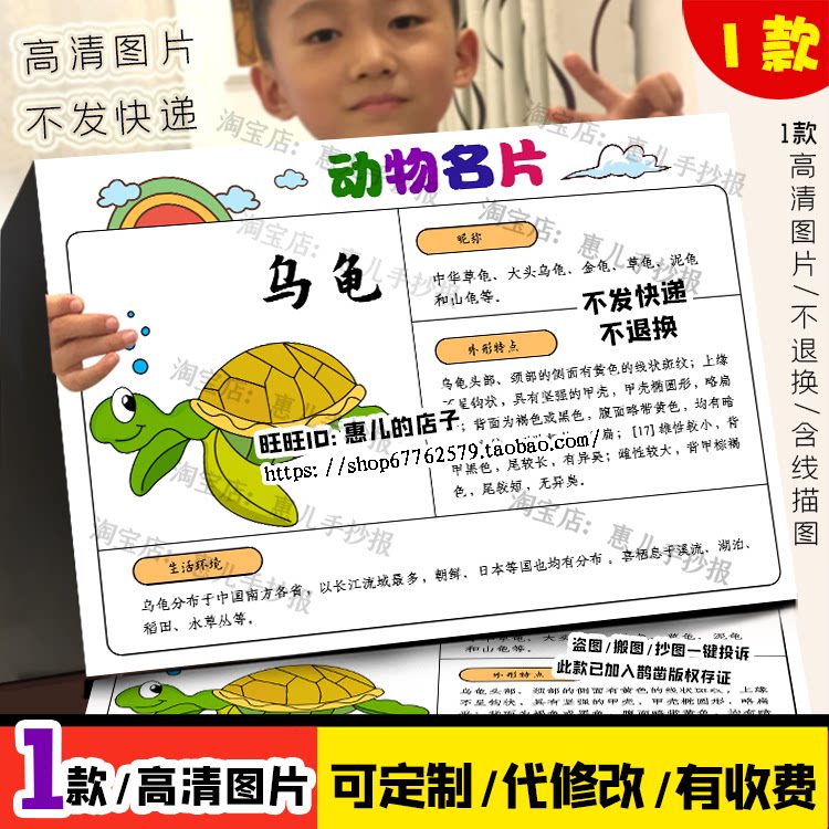 动物乌龟名片手抄报水生动物生活习性生长环境电子小报线稿涂色