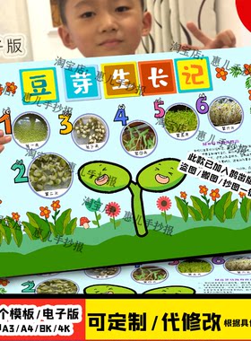自然笔记绿豆芽植物成长记录手抄报线稿绿豆生长观察日记电子小报