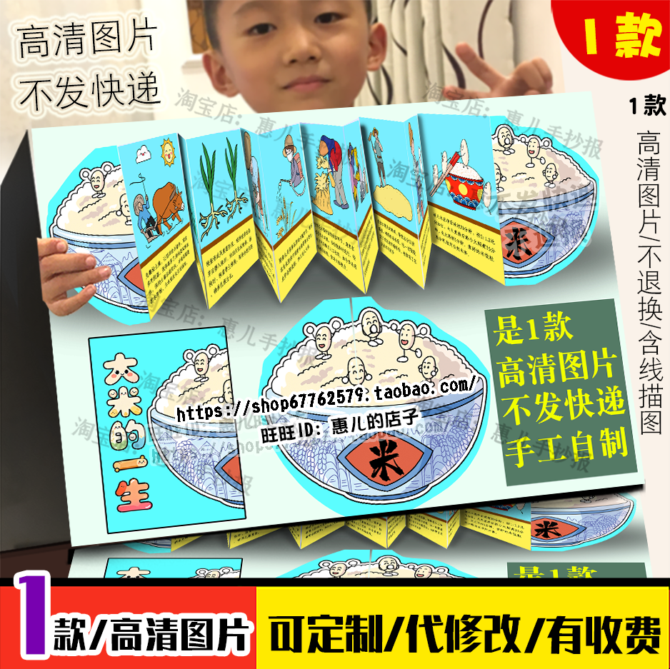 大米的一生手抄报大米自然笔记