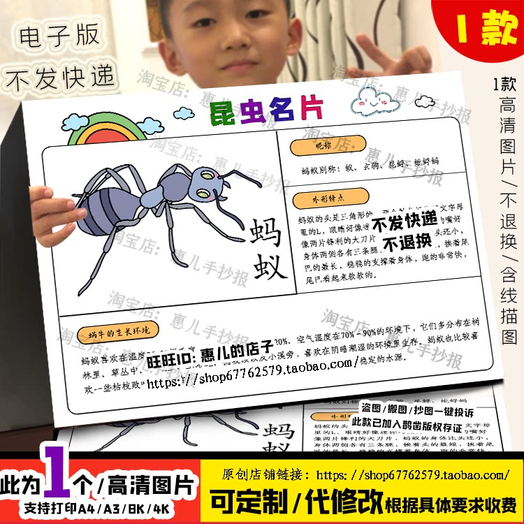 昆虫蚂蚁名片手抄报动物观察生活习性昆虫记录生长环境电子版小报