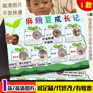 自然笔记麻豌豆成长记手抄报植物生长记录表观察日记电子小报简报