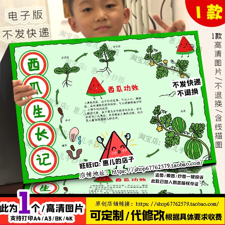 西瓜成长观察日记手抄报小学生水果自然笔记电子版小报描线涂色