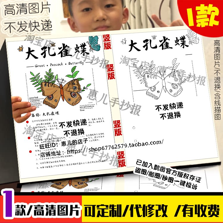竖版昆虫记大孔雀蝶名片手抄报蝶昆虫记介绍卡档案电子小报线稿