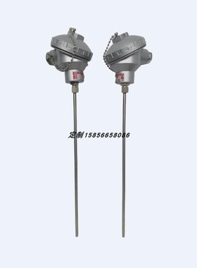 J型铠装热电偶WRFK-131,WRFK-121,WRFK2-131,WRFK2-121温度传感器