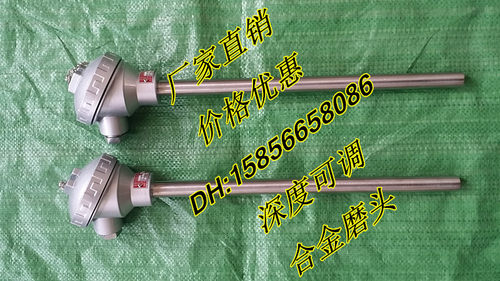 耐磨热电偶WRN-130NM/WRN2-130NM