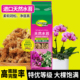 甄植甄品水苔蝴蝶兰专用土干苔藓营养土养花盆栽乌龟爬宠蜥蜴垫材