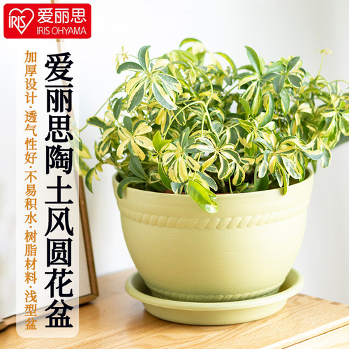爱丽丝花盆爱丽思塑料树脂加厚大号盆绿萝绿植简约特价清仓包邮