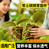 懒人半水培换盆碳棉种植杯蝴蝶兰专用营养土兰科植物合成棉碳棉杯
