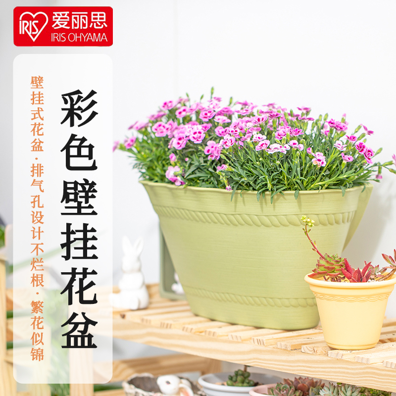 爱丽丝简约树脂防晒耐用