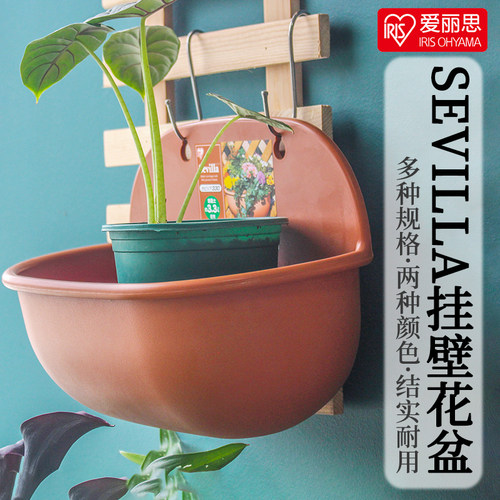 爱丽丝创意树脂加厚耐用