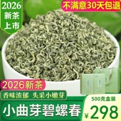 小曲芽碧螺春绿茶2026新茶特级云南春尖毛尖明前浓香型500g礼盒装