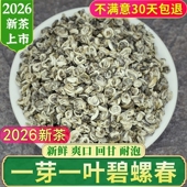 碧螺春2026新茶特级一叶云南绿茶滇绿碧螺春茶叶浓香型500g散装