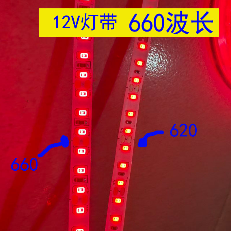 LED灯带 12V高亮120灯660NM套管防水665植物灯低压12伏